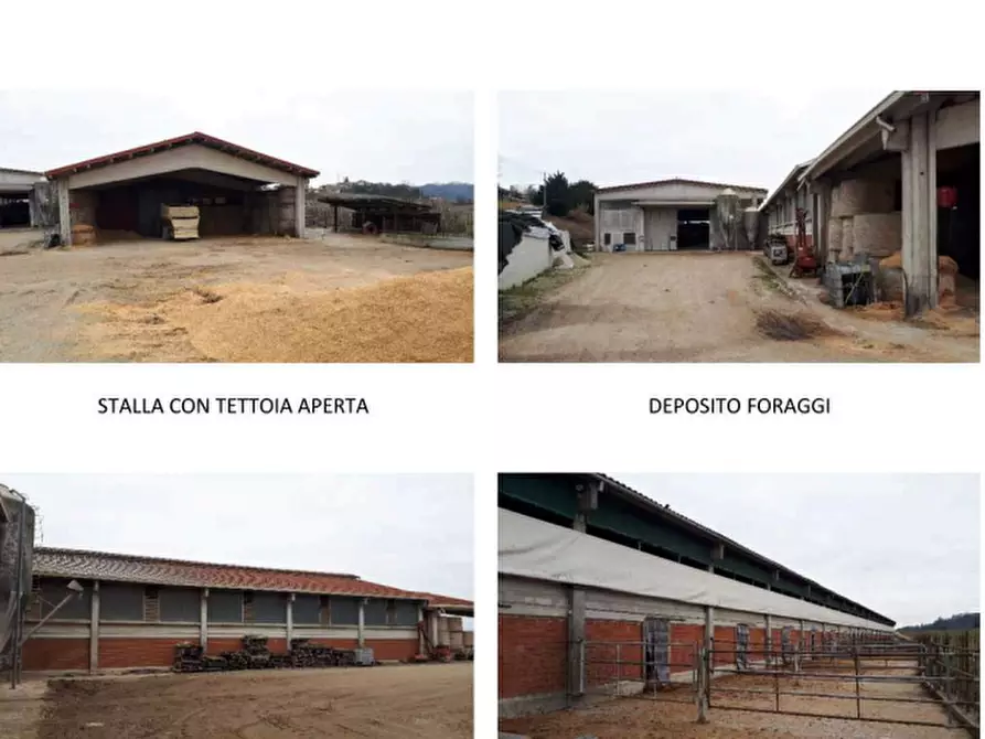 Immagine 4 di Azienda agricola in vendita  a Brozolo