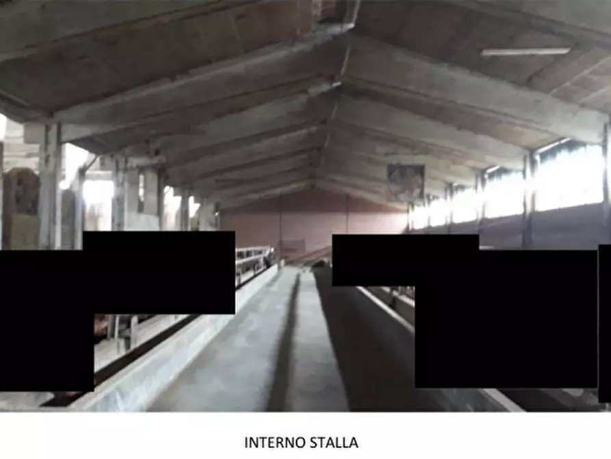 Immagine 6 di Azienda agricola in vendita  a Brozolo