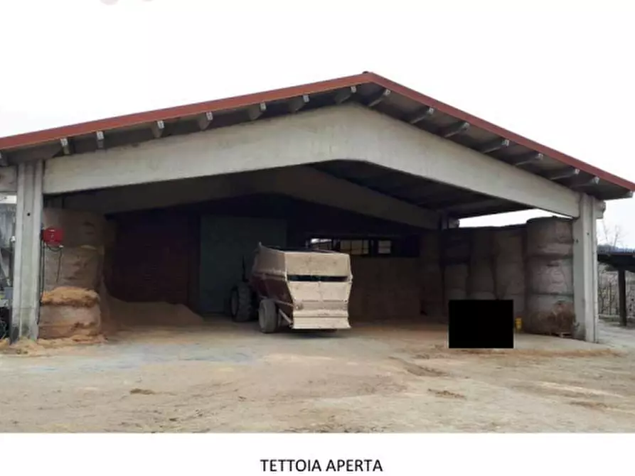 Immagine 5 di Azienda agricola in vendita  a Brozolo