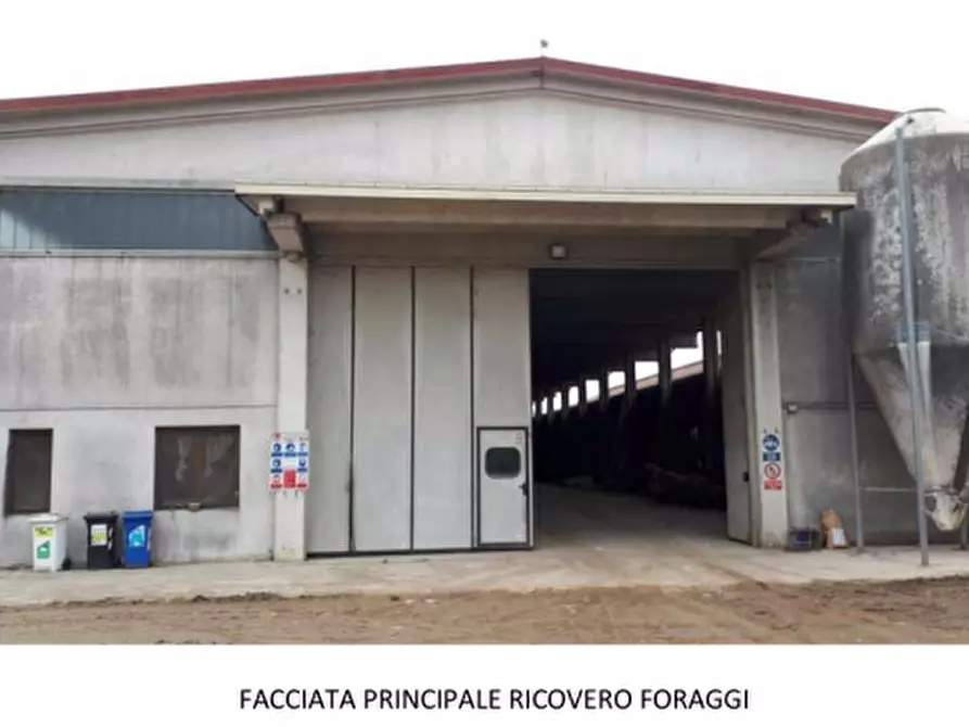 Immagine 7 di Azienda agricola in vendita  a Brozolo