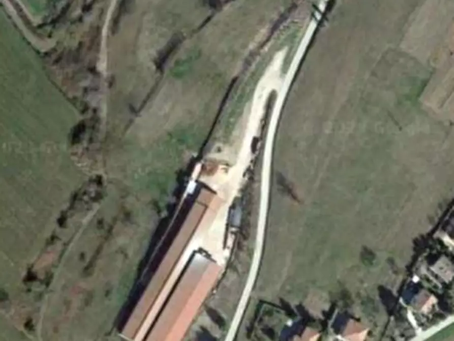 Immagine 2 di Azienda agricola in vendita  a Brozolo