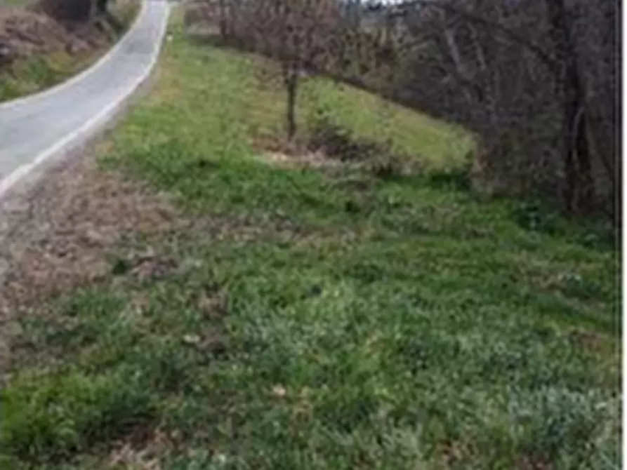 Immagine 10 di Azienda agricola in vendita  a Brozolo