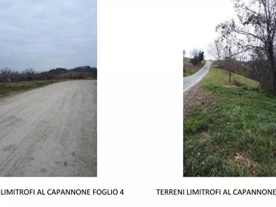 Immagine 9 di Azienda agricola in vendita  a Brozolo