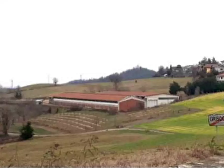 Immagine 1 di Azienda agricola in vendita  a Brozolo