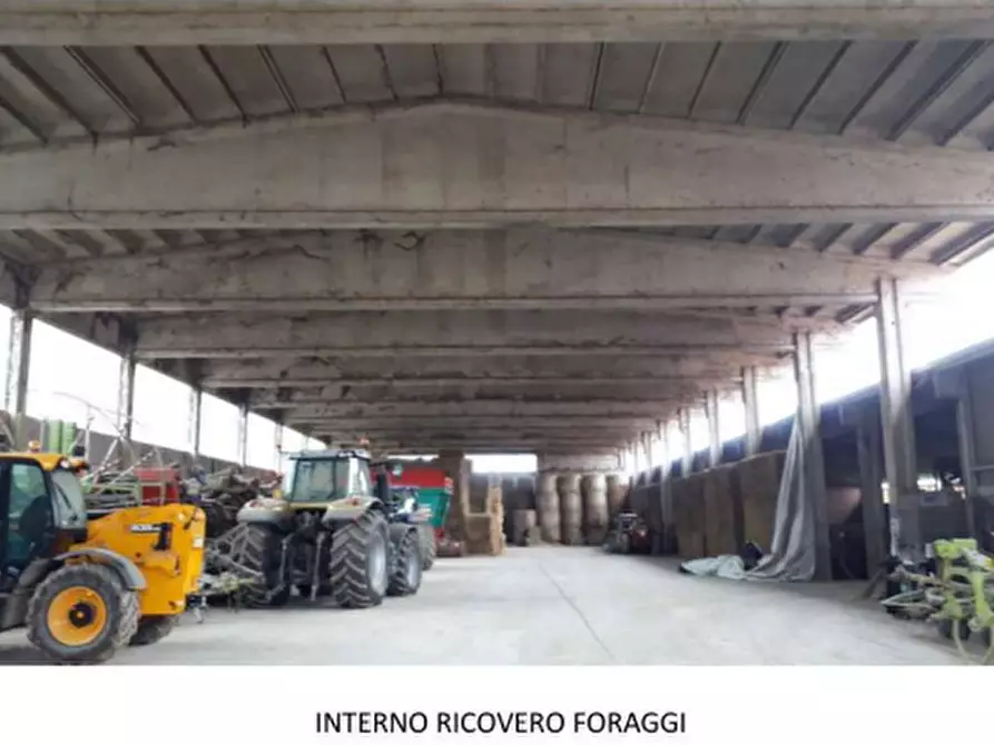 Immagine 8 di Azienda agricola in vendita  a Brozolo