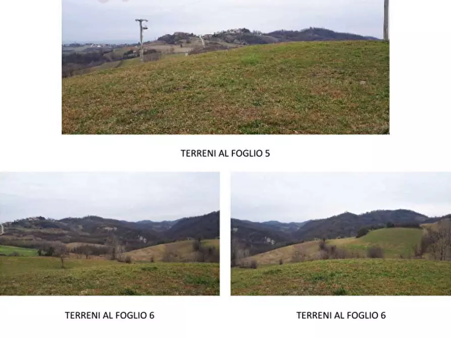 Immagine 11 di Azienda agricola in vendita  a Brozolo