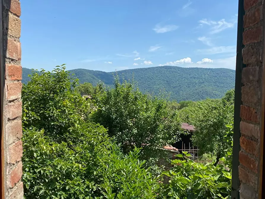 Immagine 4 di Appartamento in vendita  a Monticiano