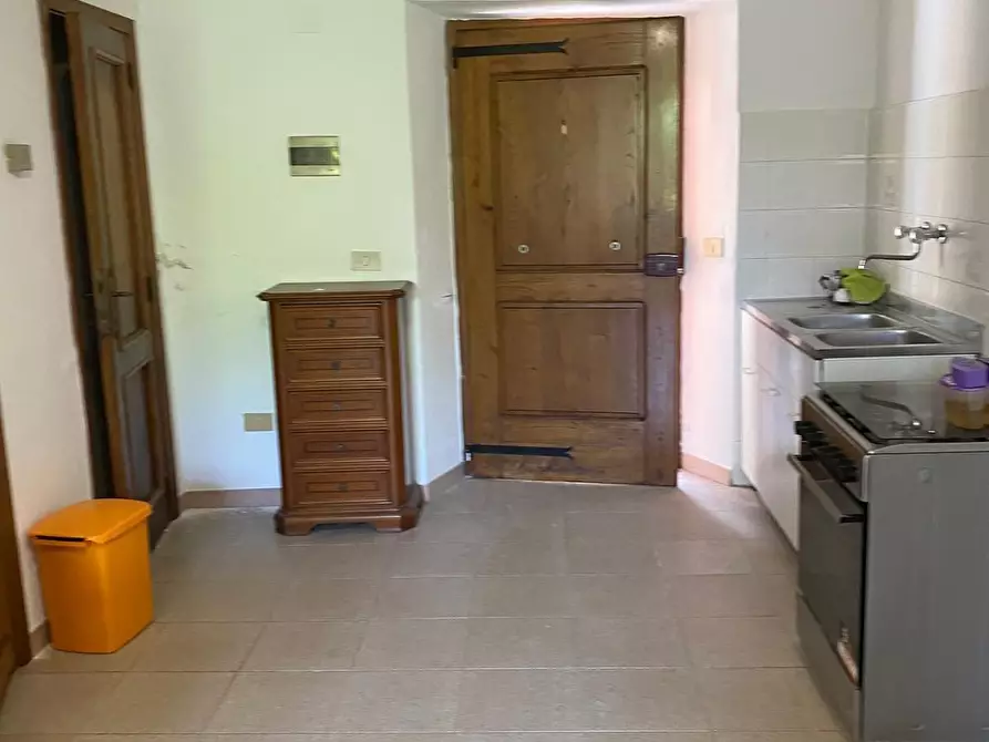Immagine 8 di Appartamento in vendita  a Monticiano