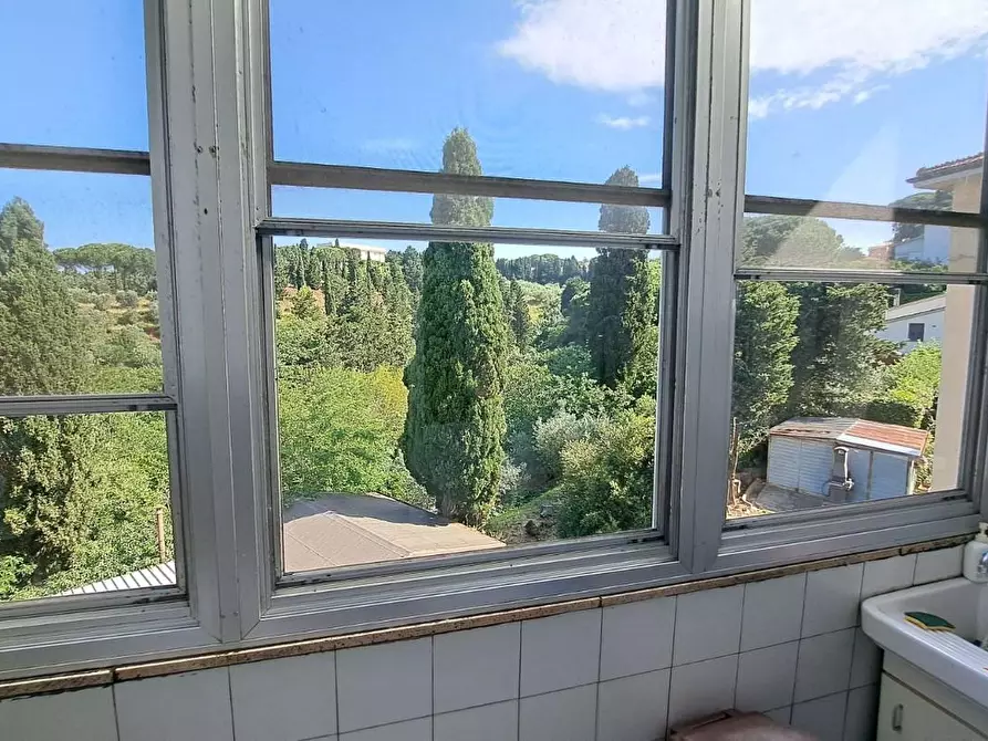 Immagine 13 di Appartamento in vendita  a Rosignano Marittimo