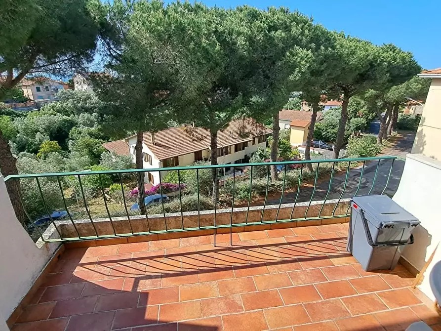 Immagine 5 di Appartamento in vendita  a Rosignano Marittimo