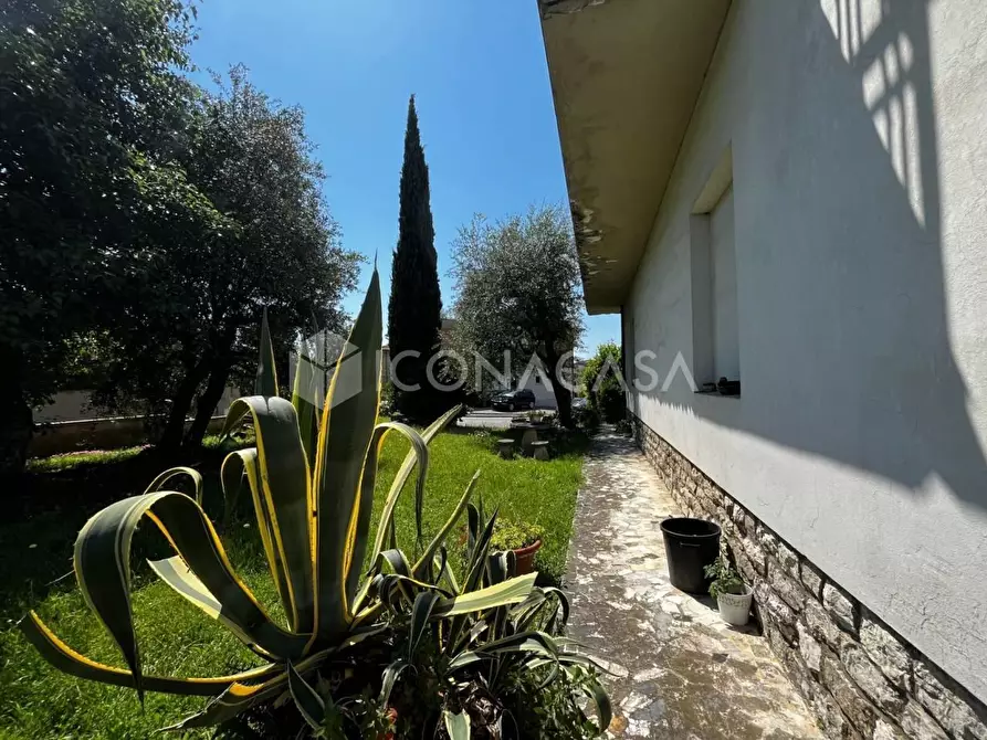 Immagine 47 di Villa in vendita  a Santa Maria A Monte