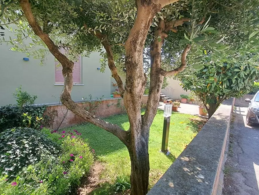 Immagine 19 di Appartamento in vendita  a Rosignano Marittimo