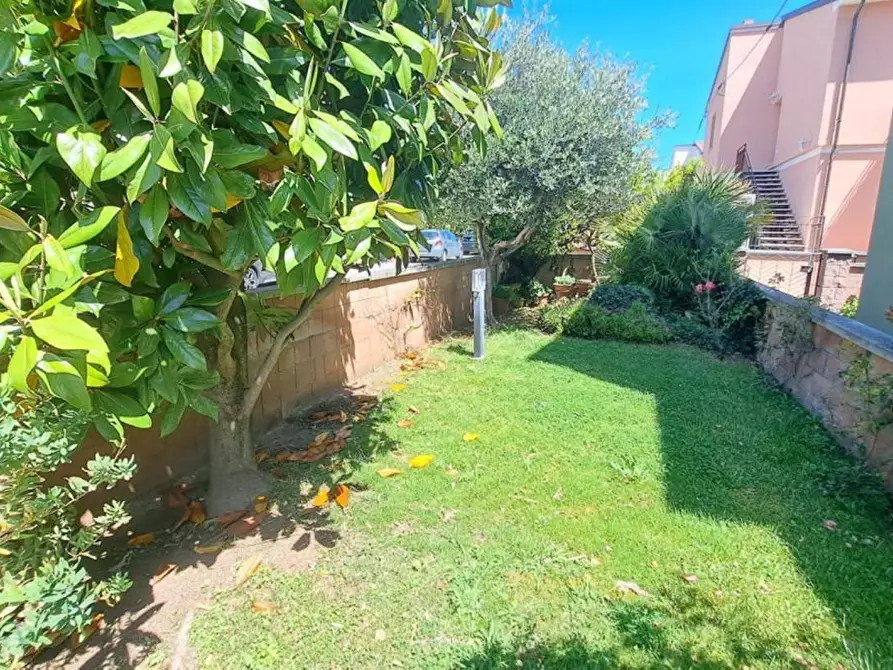 Immagine 21 di Appartamento in vendita  a Rosignano Marittimo