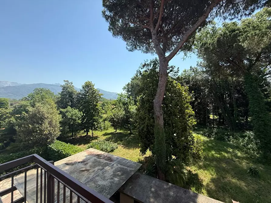 Immagine 23 di Casa bifamiliare in vendita  a Massa