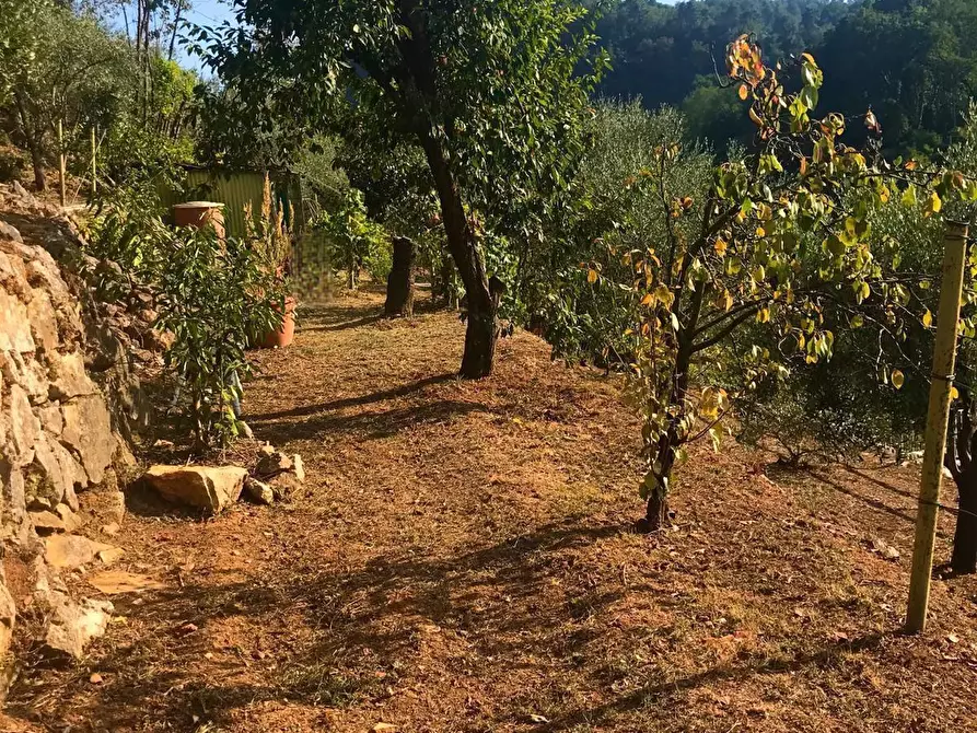 Immagine 31 di Villa in vendita  a Carrara