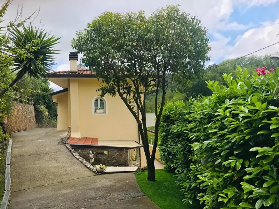 Immagine 30 di Villa in vendita  a Carrara