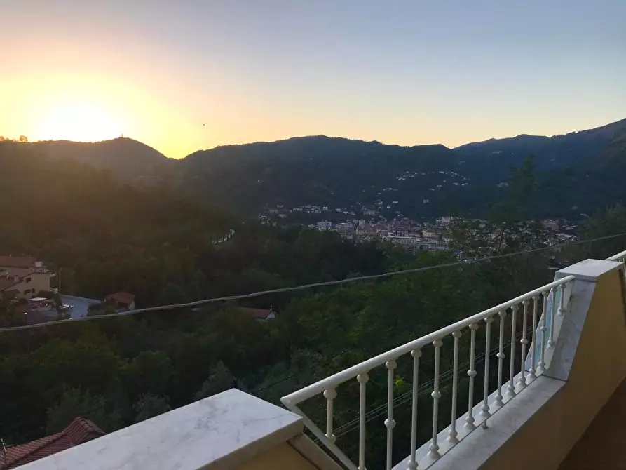 Immagine 24 di Villa in vendita  a Carrara