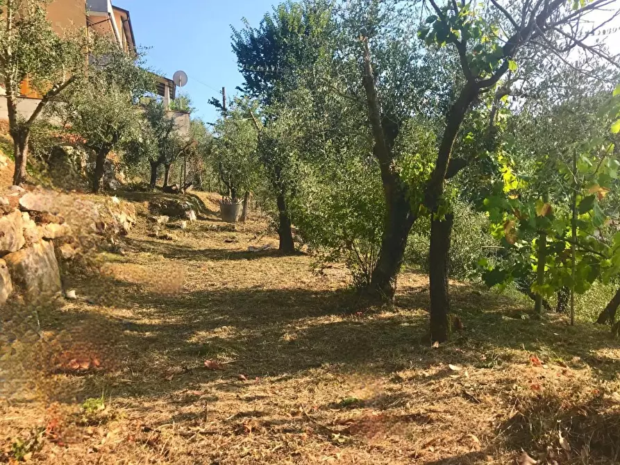 Immagine 32 di Villa in vendita  a Carrara