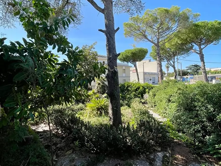 Immagine 21 di Villa in vendita  a Tricase