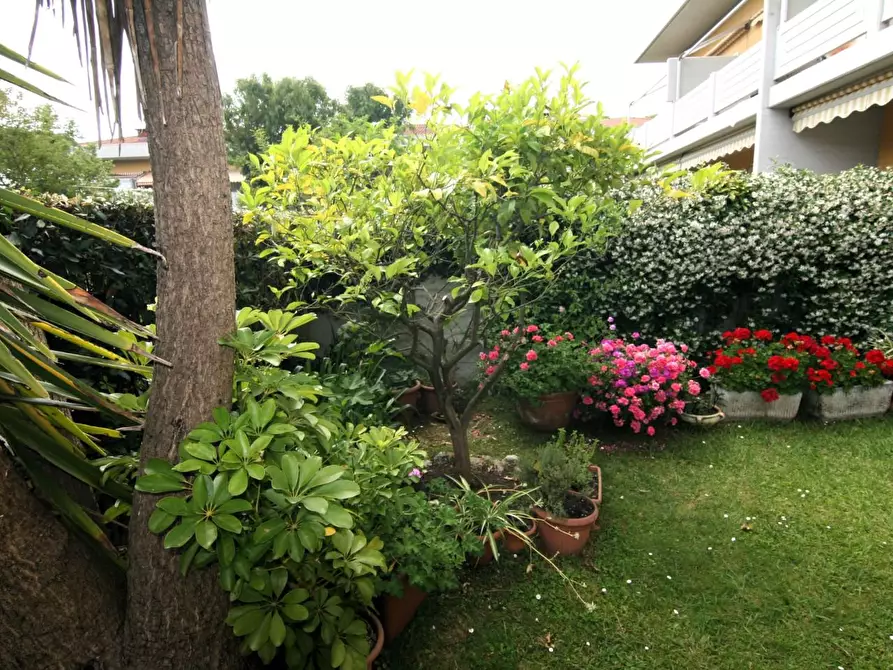 Immagine 13 di Appartamento in vendita  a Carrara