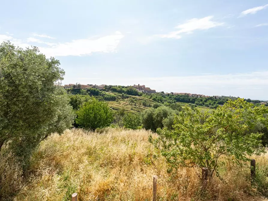 Immagine 36 di Casa indipendente in vendita  a Casciana Terme Lari