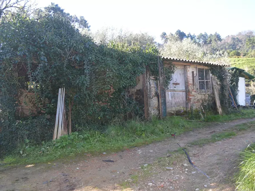 Immagine 2 di Magazzino in vendita  a Camaiore