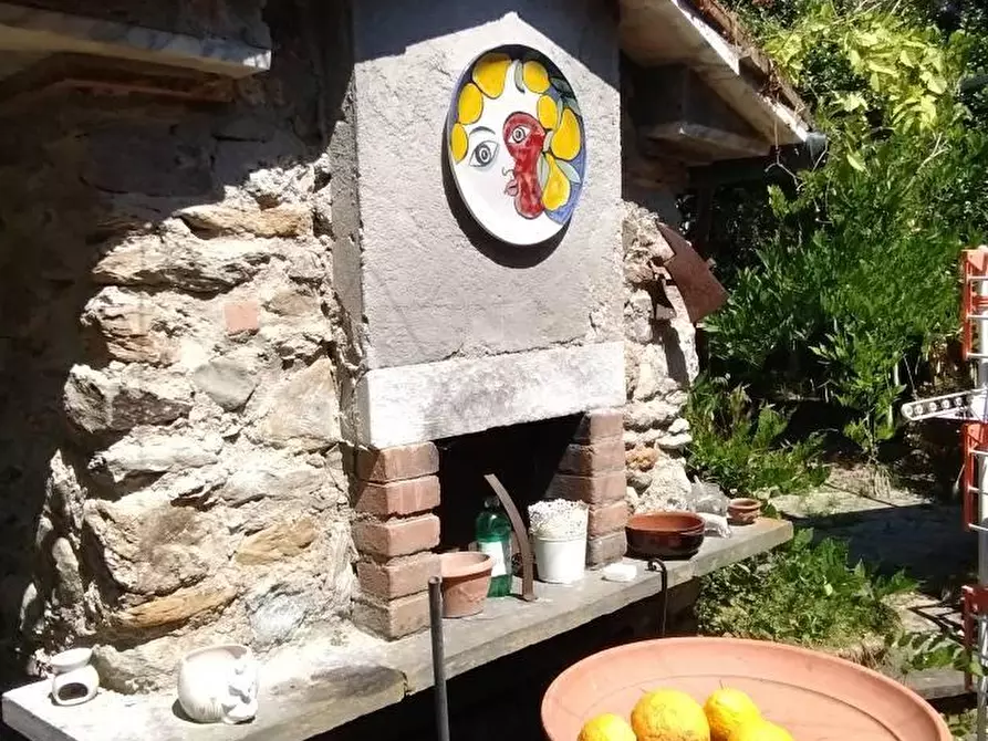 Immagine 4 di Villa in vendita  a Massa