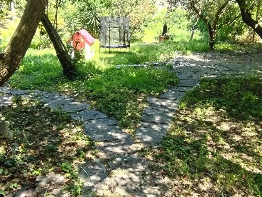 Immagine 9 di Villa in vendita  a Massa