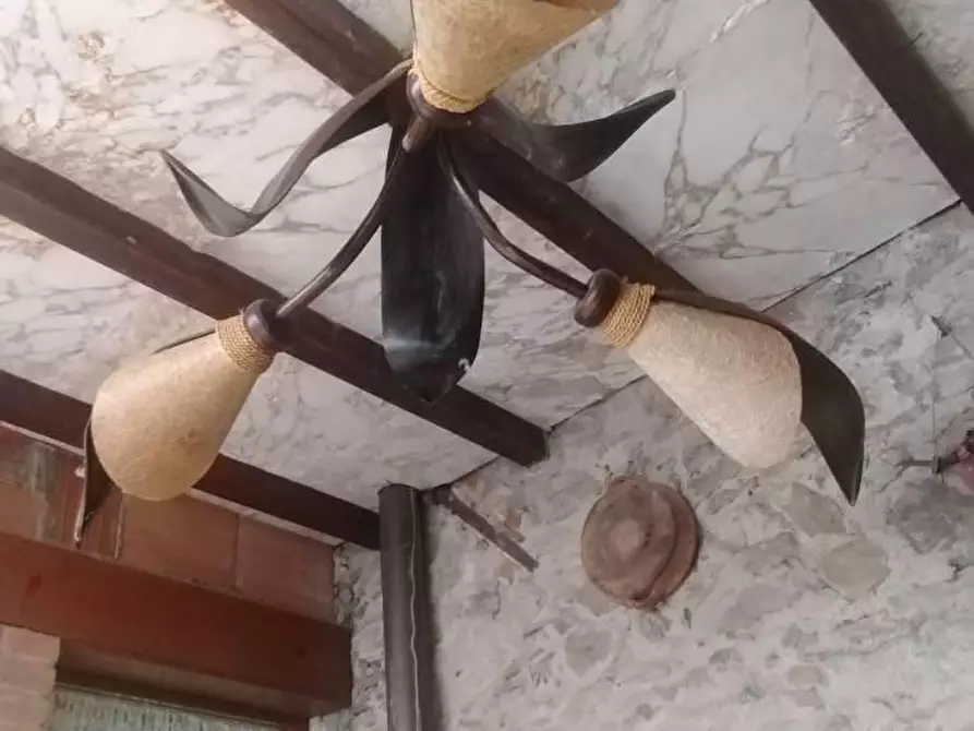 Immagine 37 di Villa in vendita  a Massa