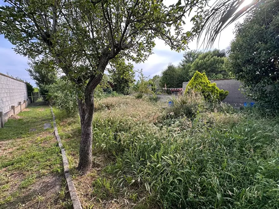 Immagine 20 di Terratetto in vendita  a Cascina