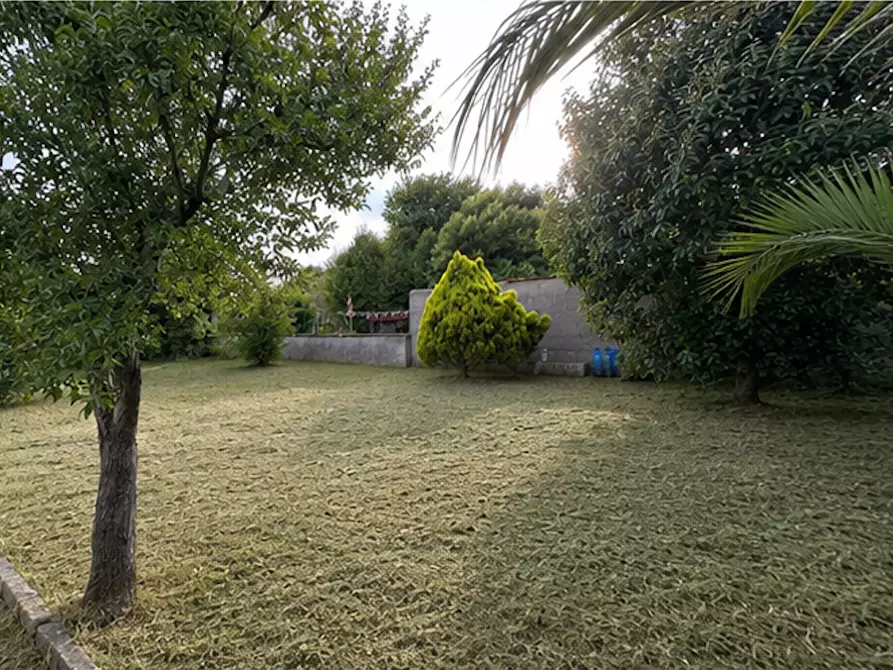 Immagine 17 di Terratetto in vendita  a Cascina