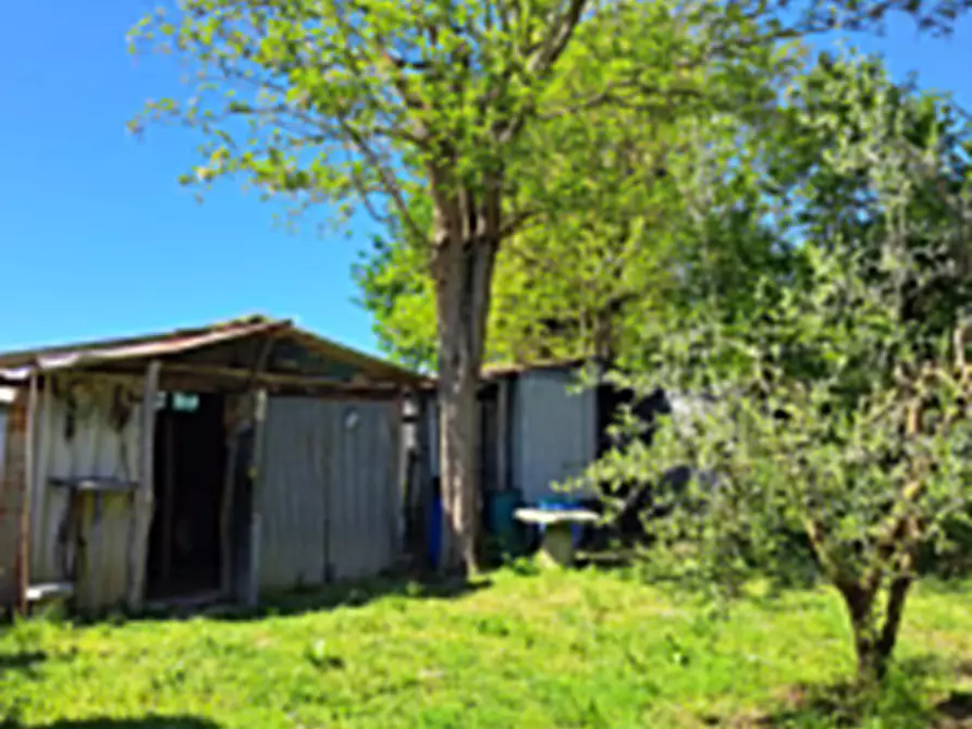 Immagine 1 di Terreno agricolo in vendita  a Casciana Terme Lari