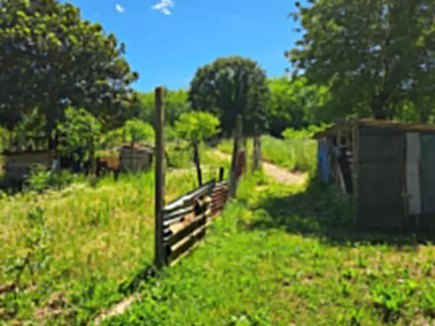Immagine 3 di Terreno agricolo in vendita  a Casciana Terme Lari