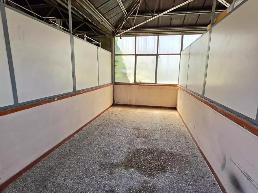 Immagine 16 di Casa bifamiliare in vendita  a Vicopisano