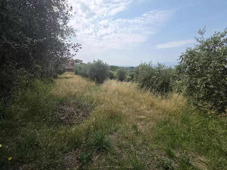 Immagine 4 di Deposito in vendita  a Montecarlo