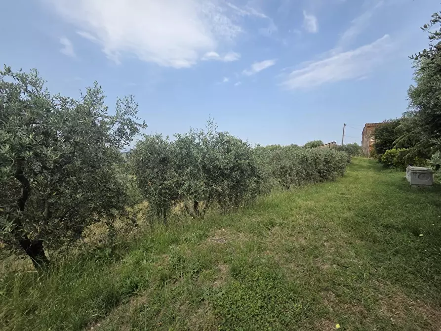 Immagine 20 di Villa in vendita  a Montecarlo