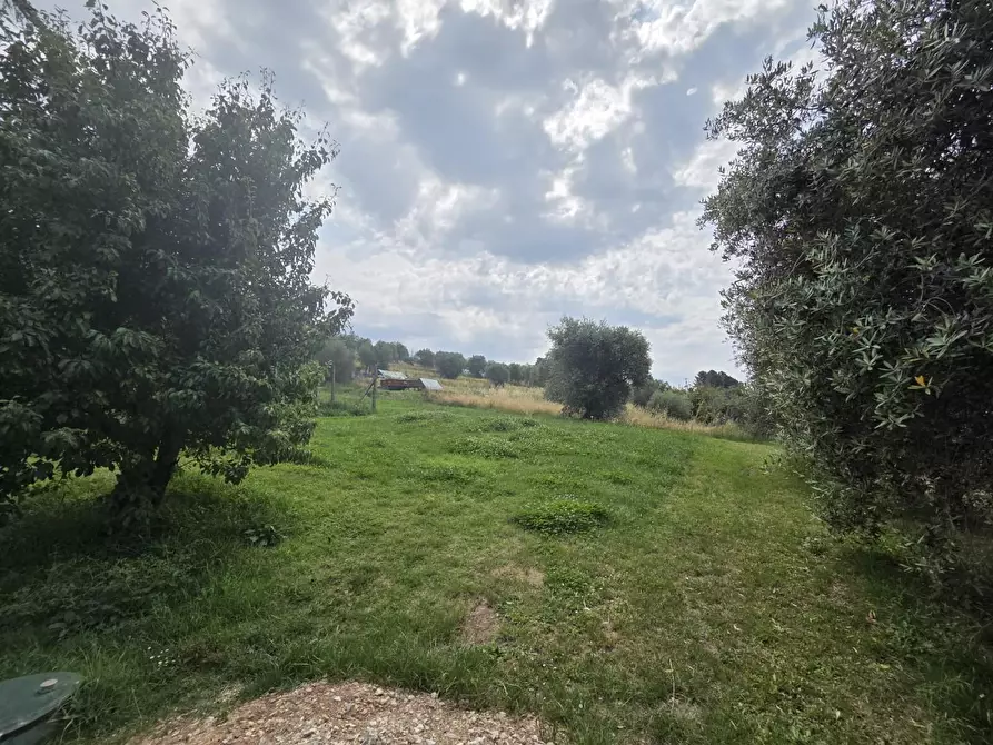 Immagine 14 di Villa in vendita  a Montecarlo