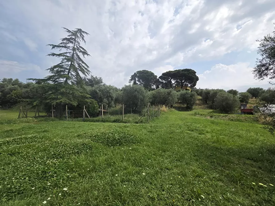 Immagine 12 di Villa in vendita  a Montecarlo