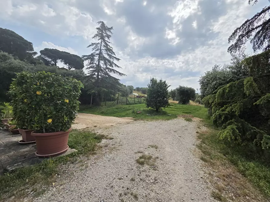 Immagine 16 di Villa in vendita  a Montecarlo