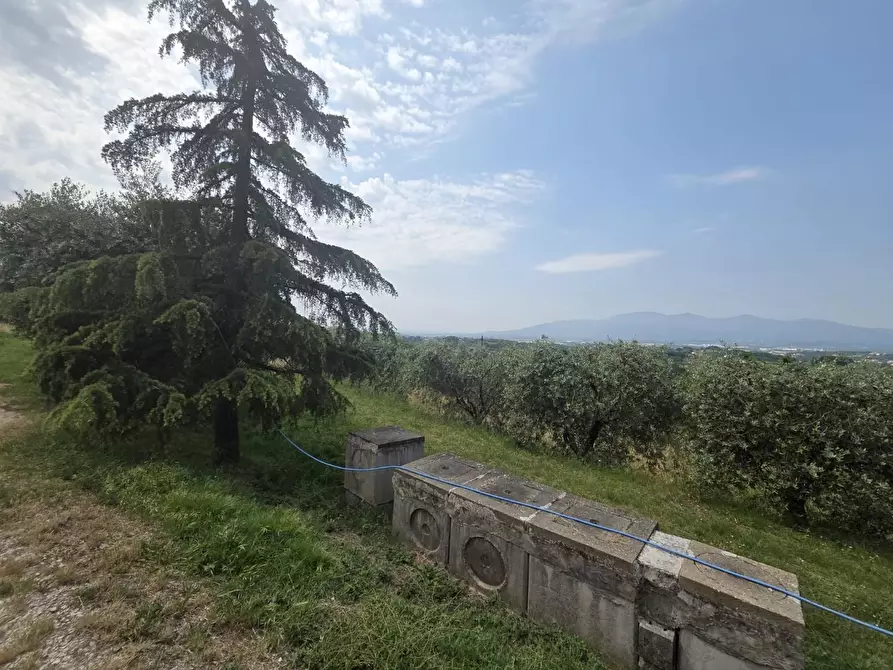 Immagine 10 di Villa in vendita  a Montecarlo