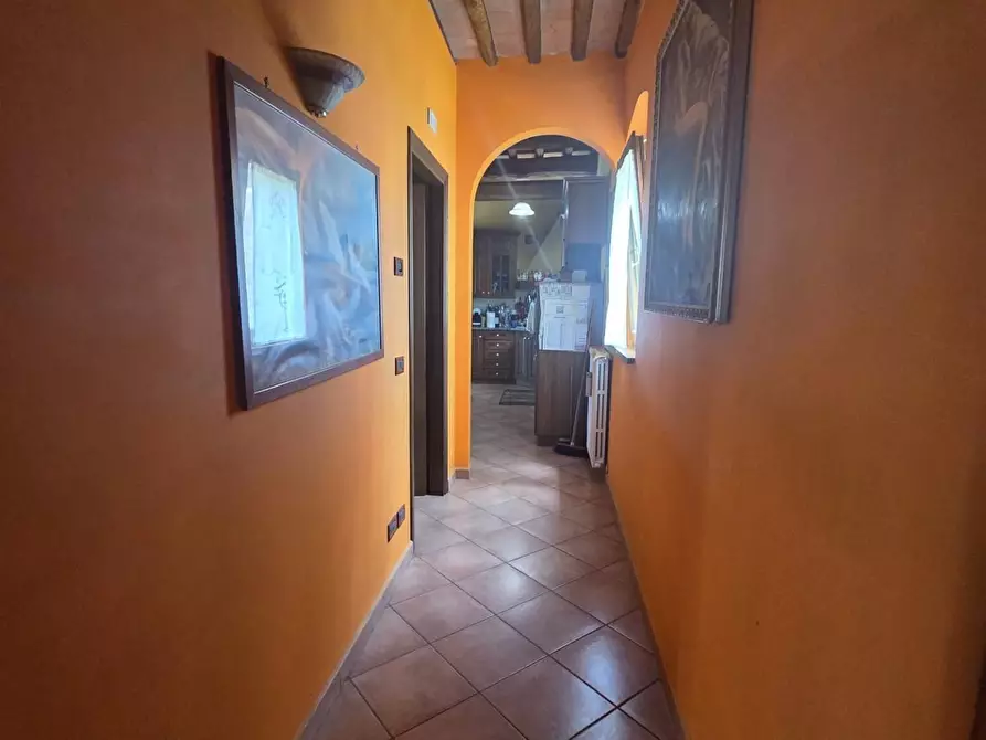 Immagine 3 di Casa colonica in vendita  a Montecarlo