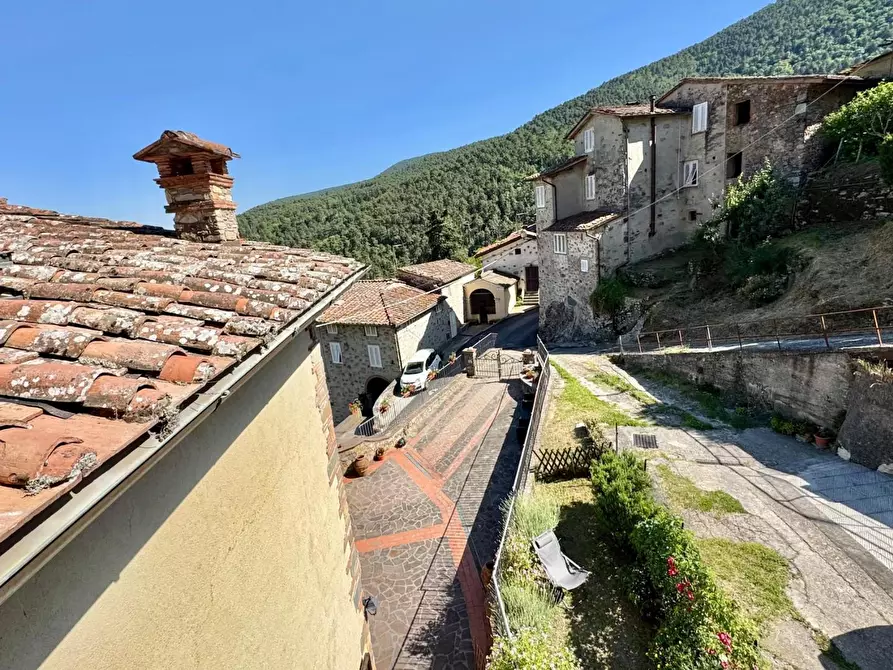 Immagine 37 di Terratetto in vendita  a Capannori