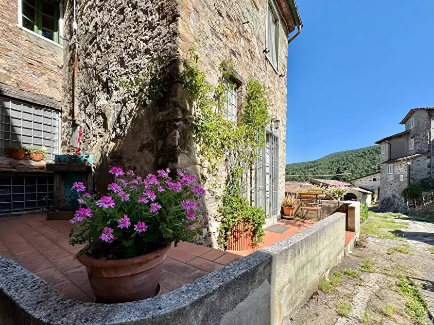 Immagine 35 di Terratetto in vendita  a Capannori