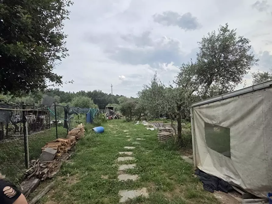 Immagine 26 di Terratetto in vendita  a Castelfranco Di Sotto