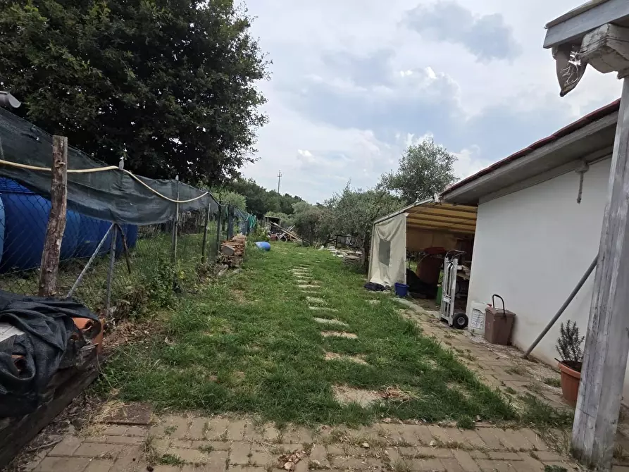 Immagine 35 di Terratetto in vendita  a Castelfranco Di Sotto