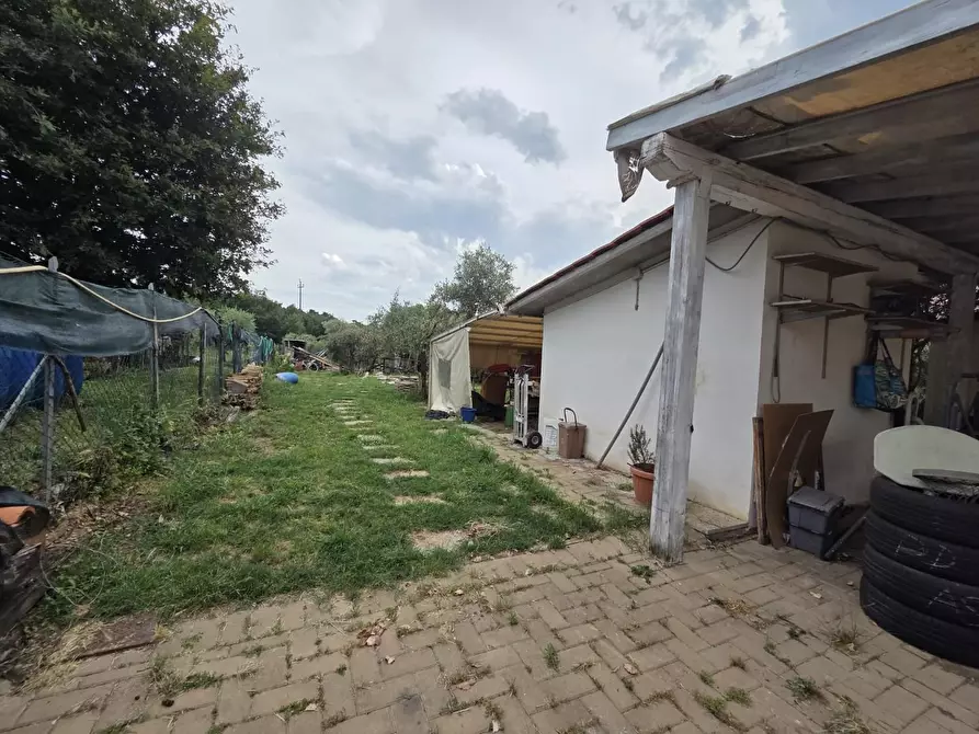 Immagine 7 di Terratetto in vendita  a Castelfranco Di Sotto