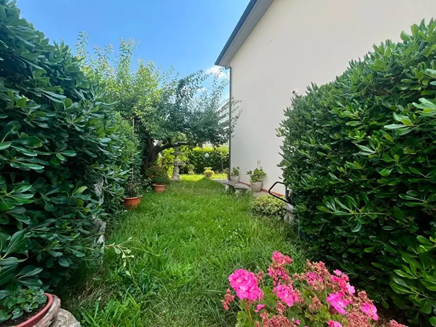 Immagine 3 di Casa bifamiliare in vendita  a Vicopisano