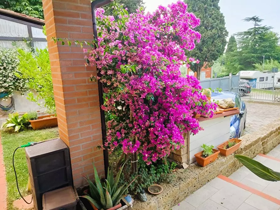 Immagine 17 di Villetta a schiera in vendita  a Rosignano Marittimo