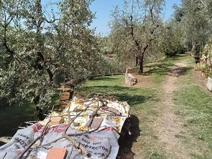 Immagine 43 di Villa in vendita  a Massarosa
