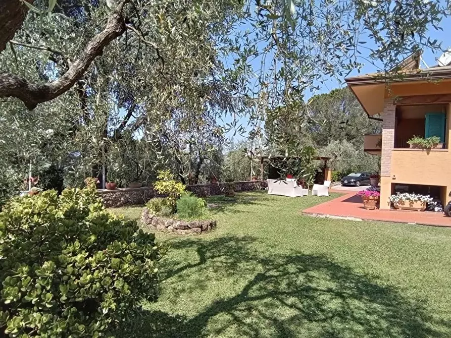 Immagine 4 di Villa in vendita  a Massarosa